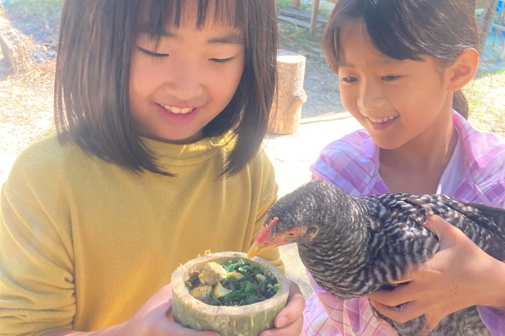 鶏にえさをやる子供たち