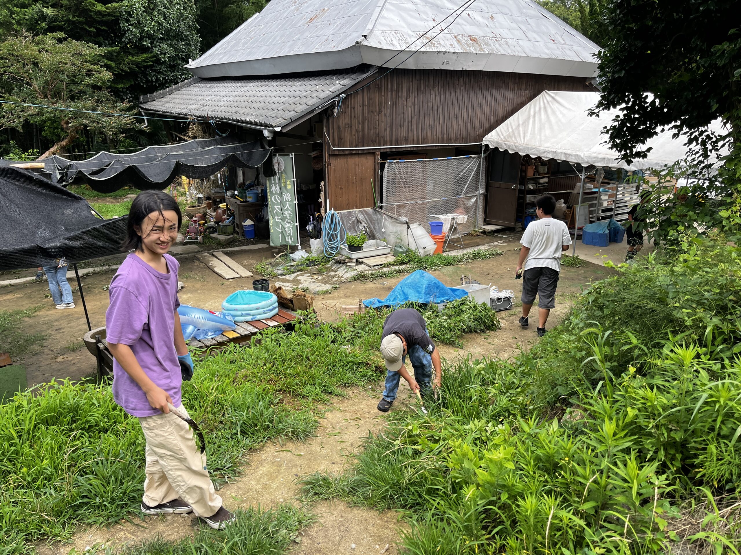 鶏とヒヨコの世話をする子どもたちの様子