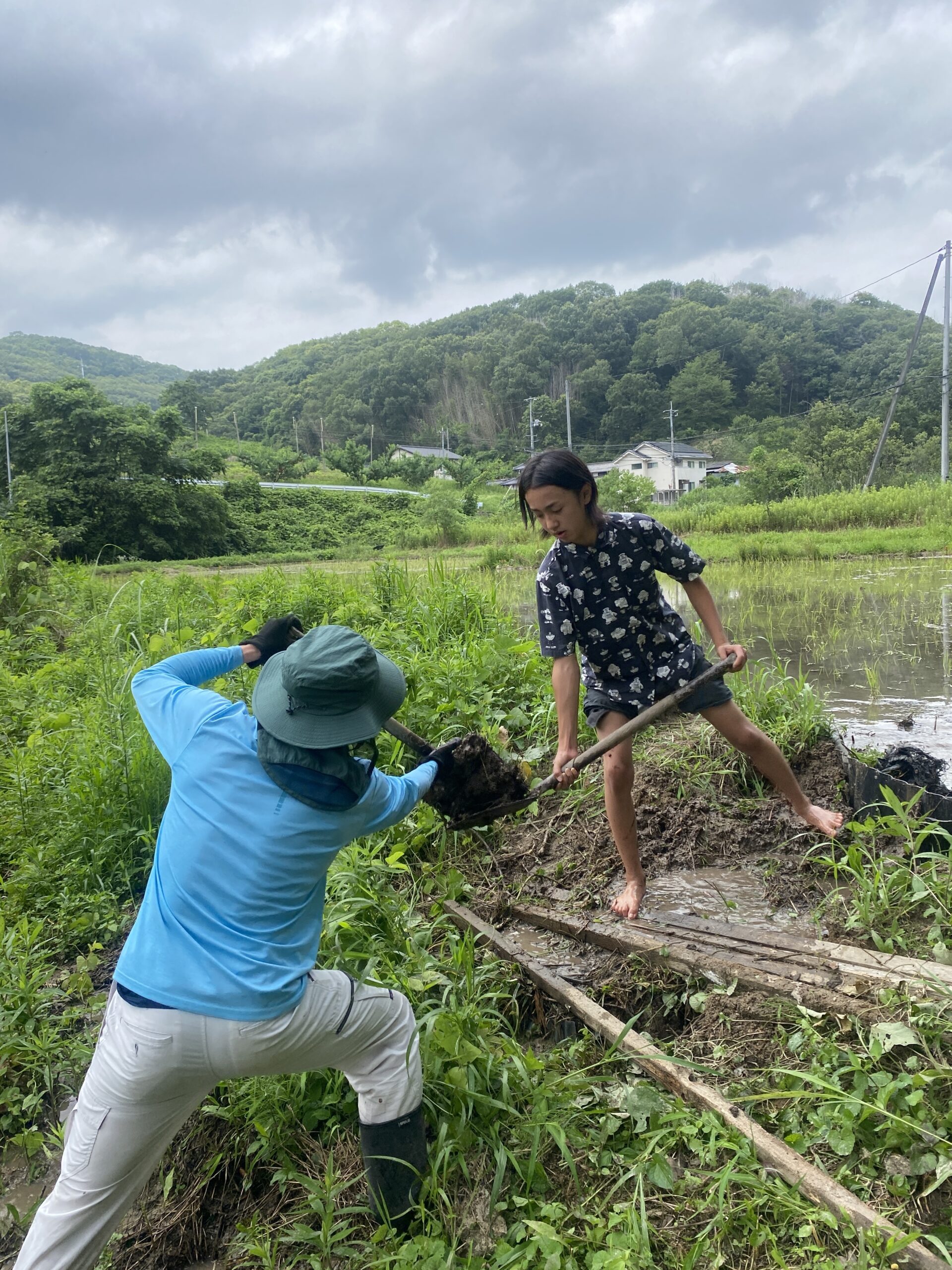 田んぼの畔を補修する様子