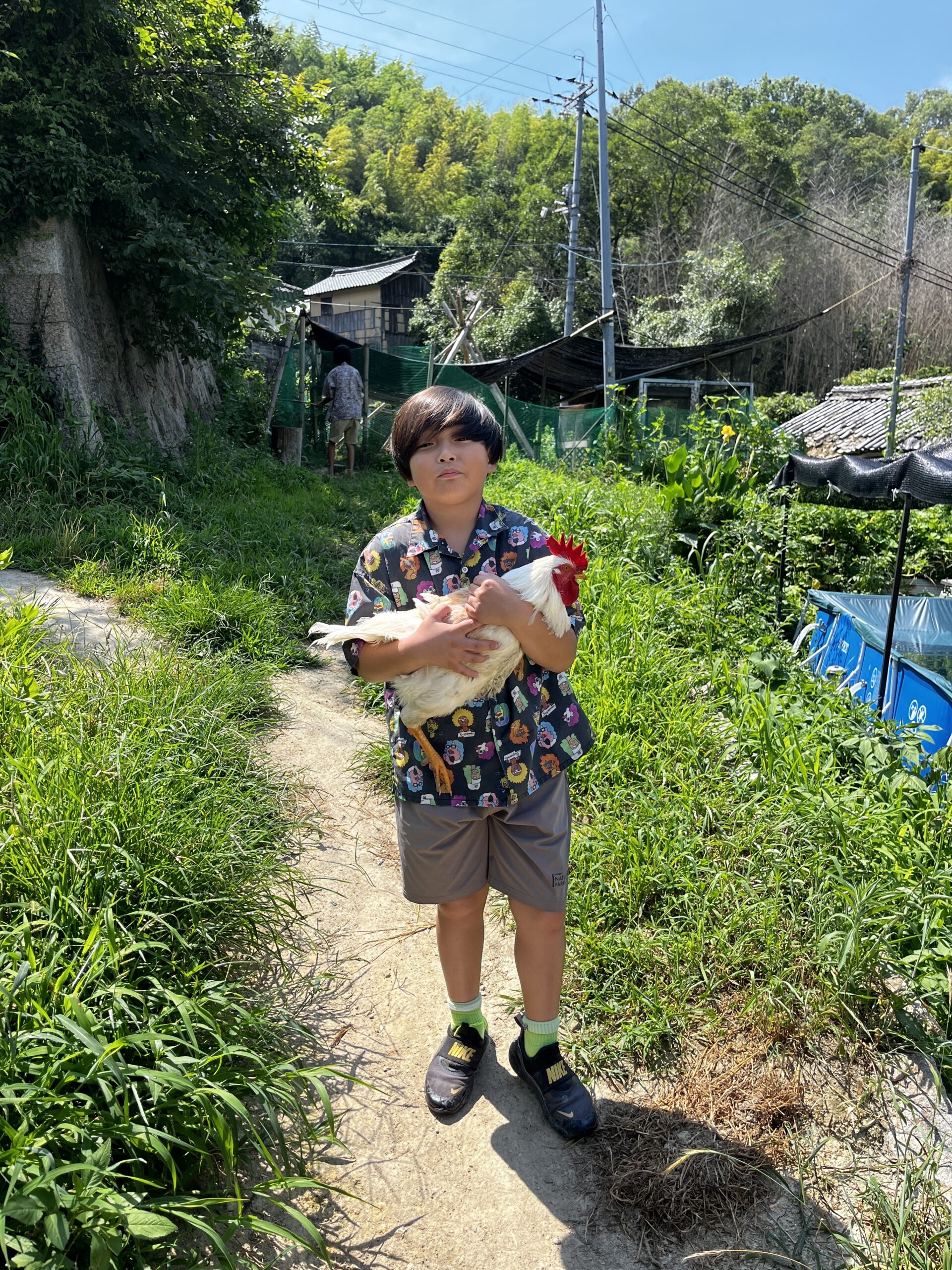 生きた鶏を抱えて歩く男の子