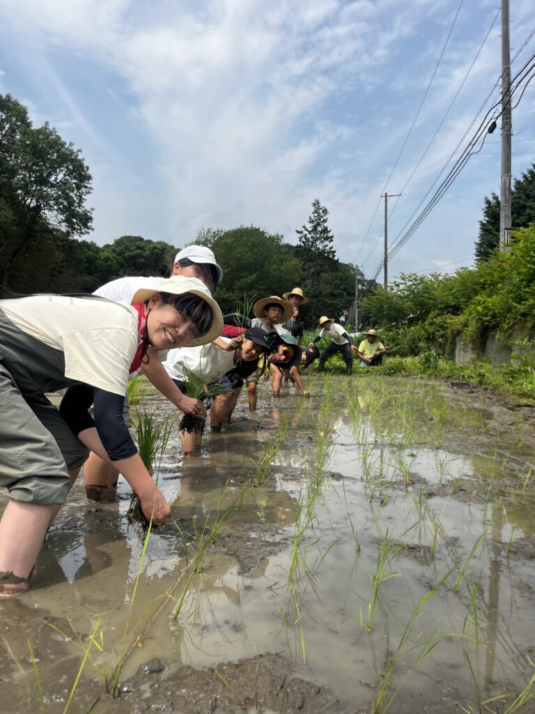 スコレー田植え