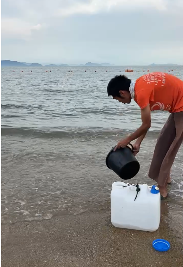 浜辺でバケツを使い海水を汲むスタッフの様子