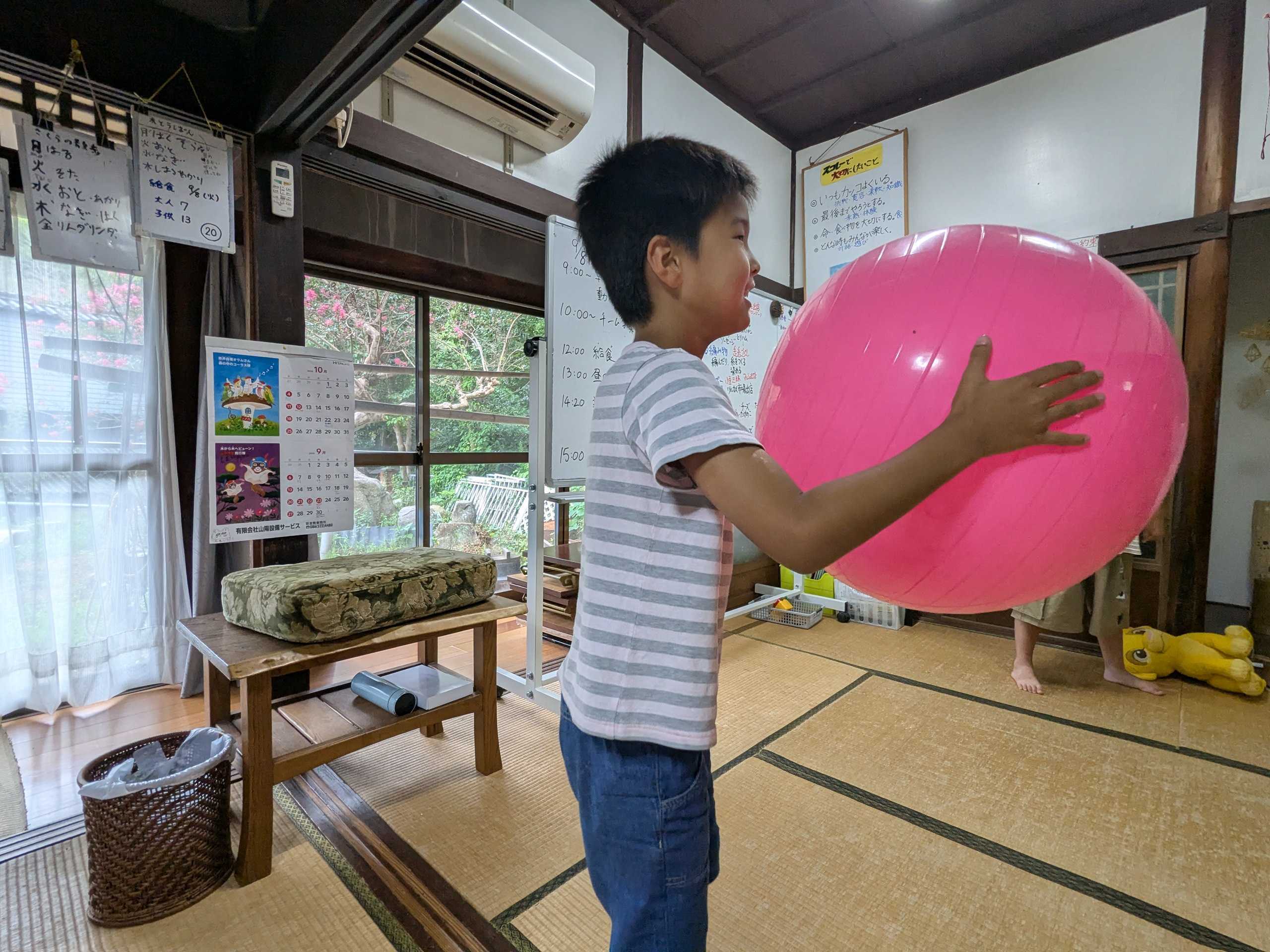バランスボールで遊ぶ子どもの様子