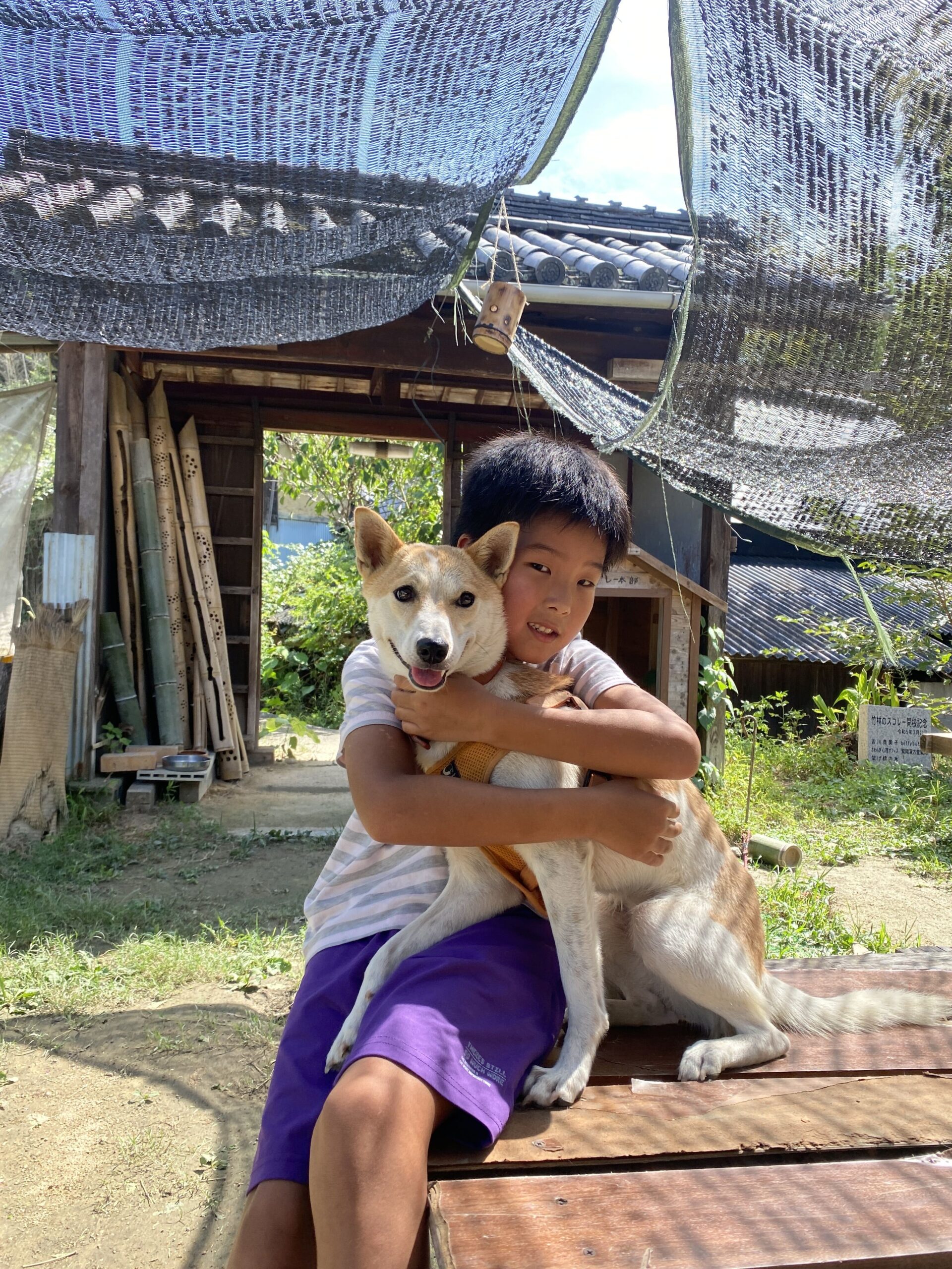 スコレーの犬・さくらを抱きしめる子ども
