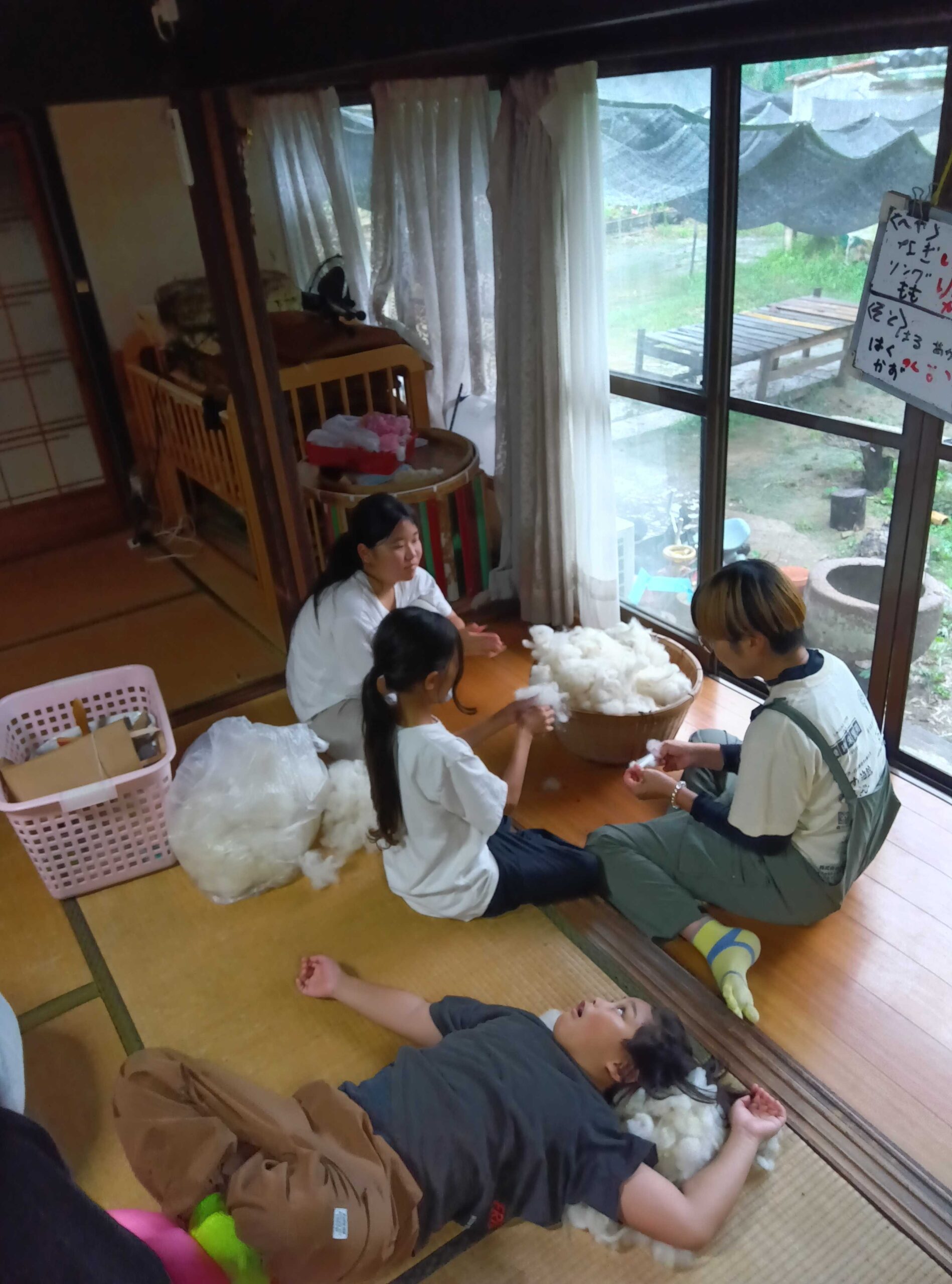 ふわふわの羊毛をほぐす子どもたちと、そばで寝転ぶ子