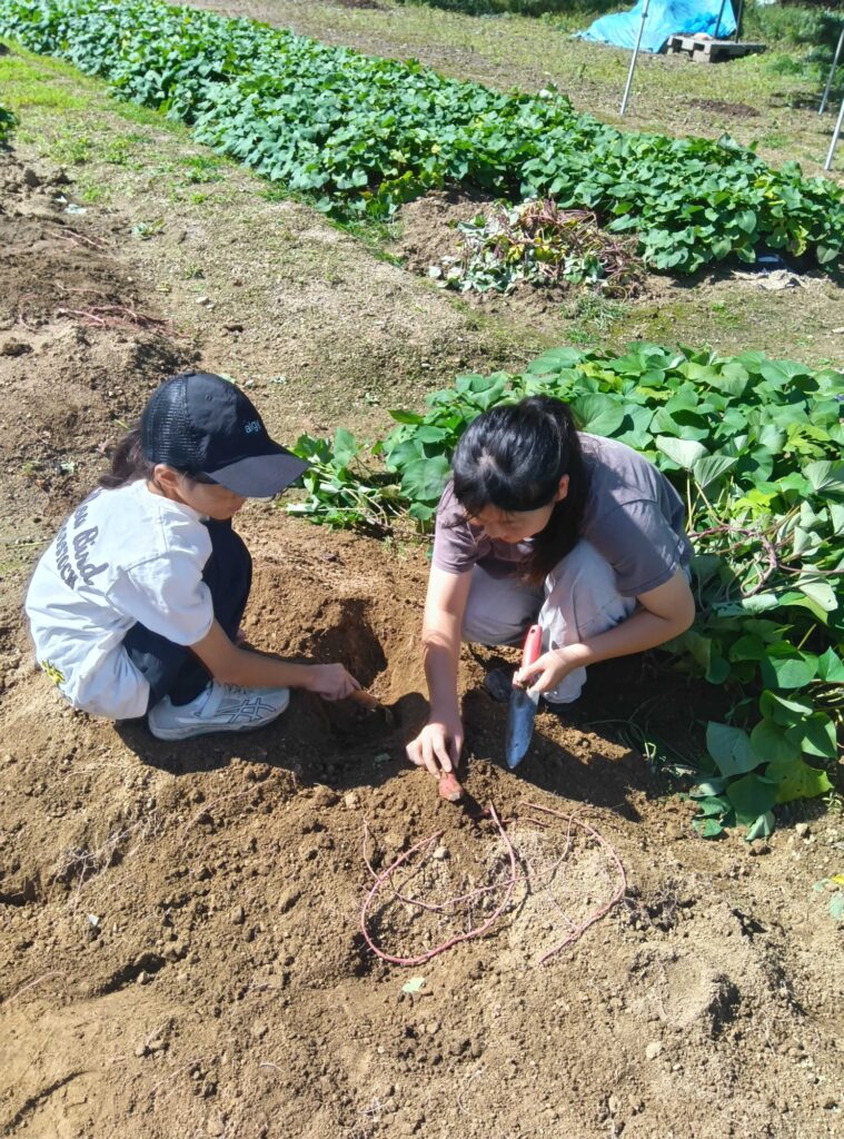 並んでしゃがみ、スコップで土を掘る子どもたち