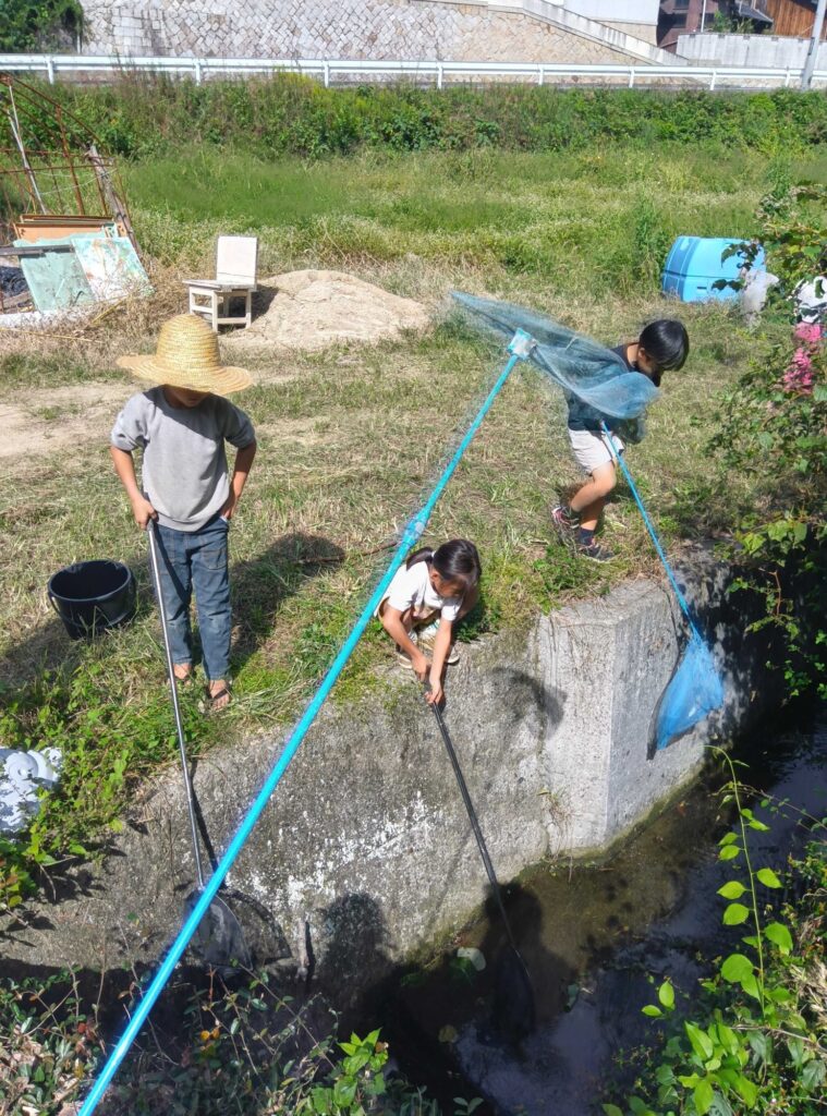 網を手に、用水路でザリガニを探す子どもたち