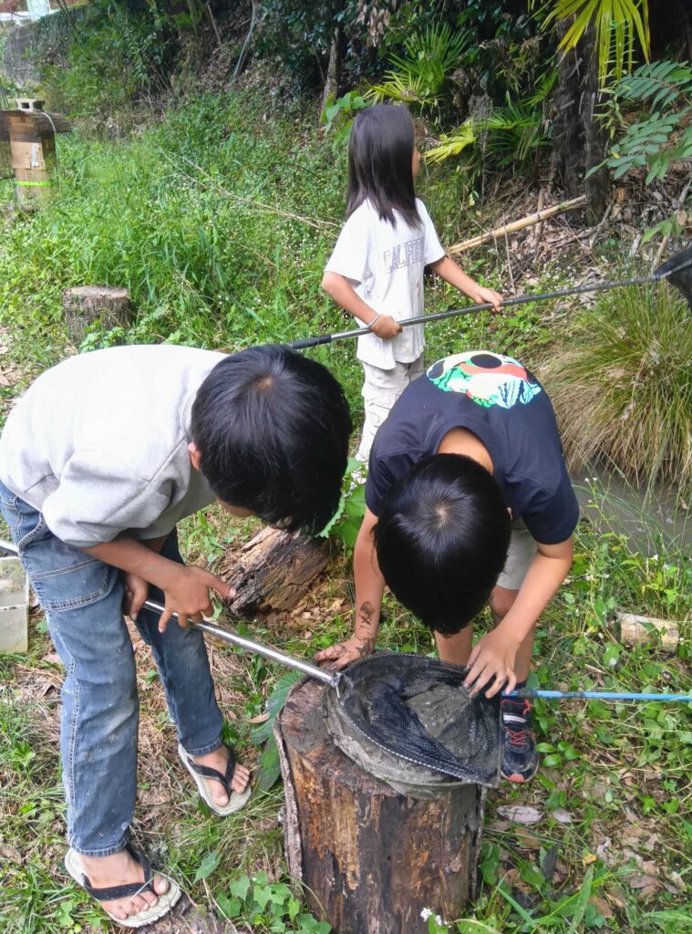 網の中をのぞきこむ子どもたち