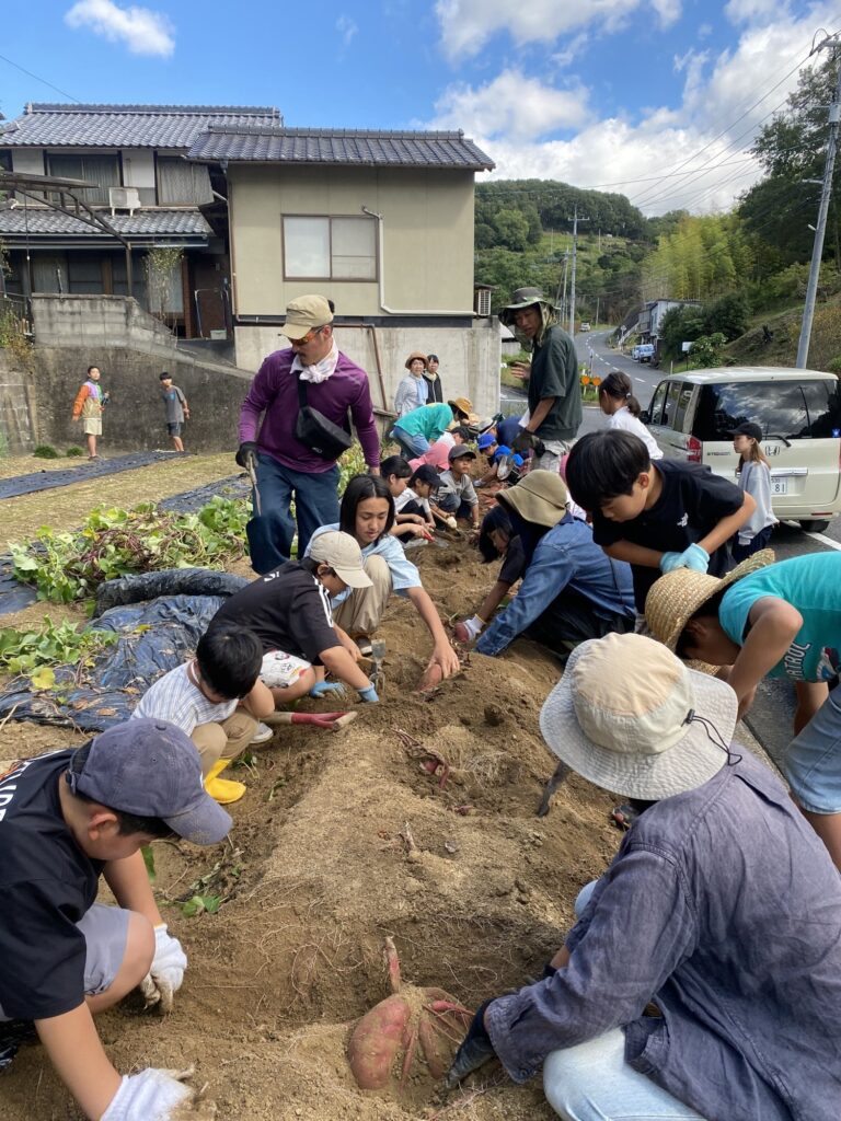 青空の下、畑の畝に並んでサツマイモを掘る子どもたちと大人たち