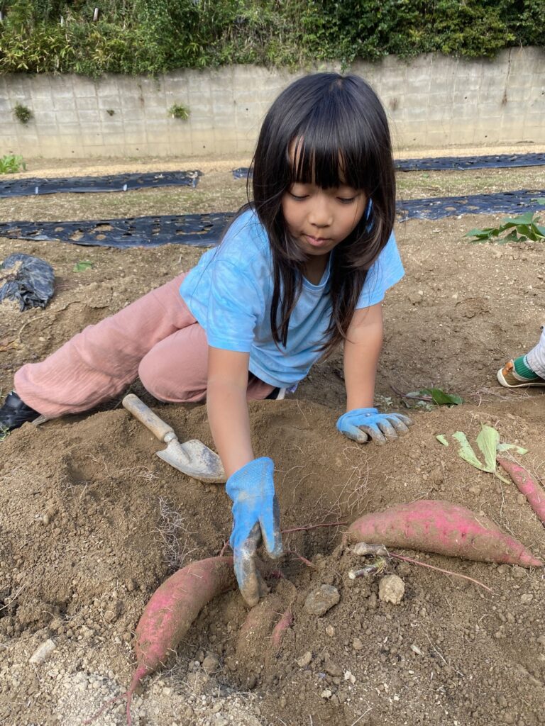 土の中から顔を出したサツマイモを手で掘る子ども