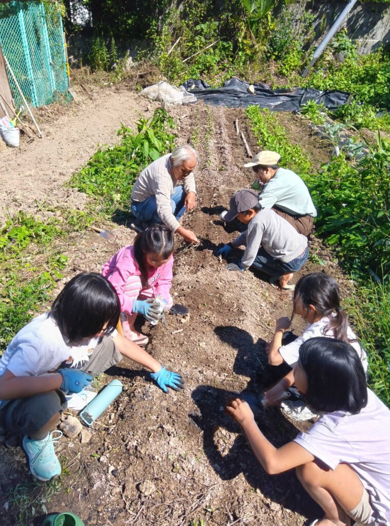 鳥小屋の横の畑で、大人と一緒にエンドウの種をまく子どもたち