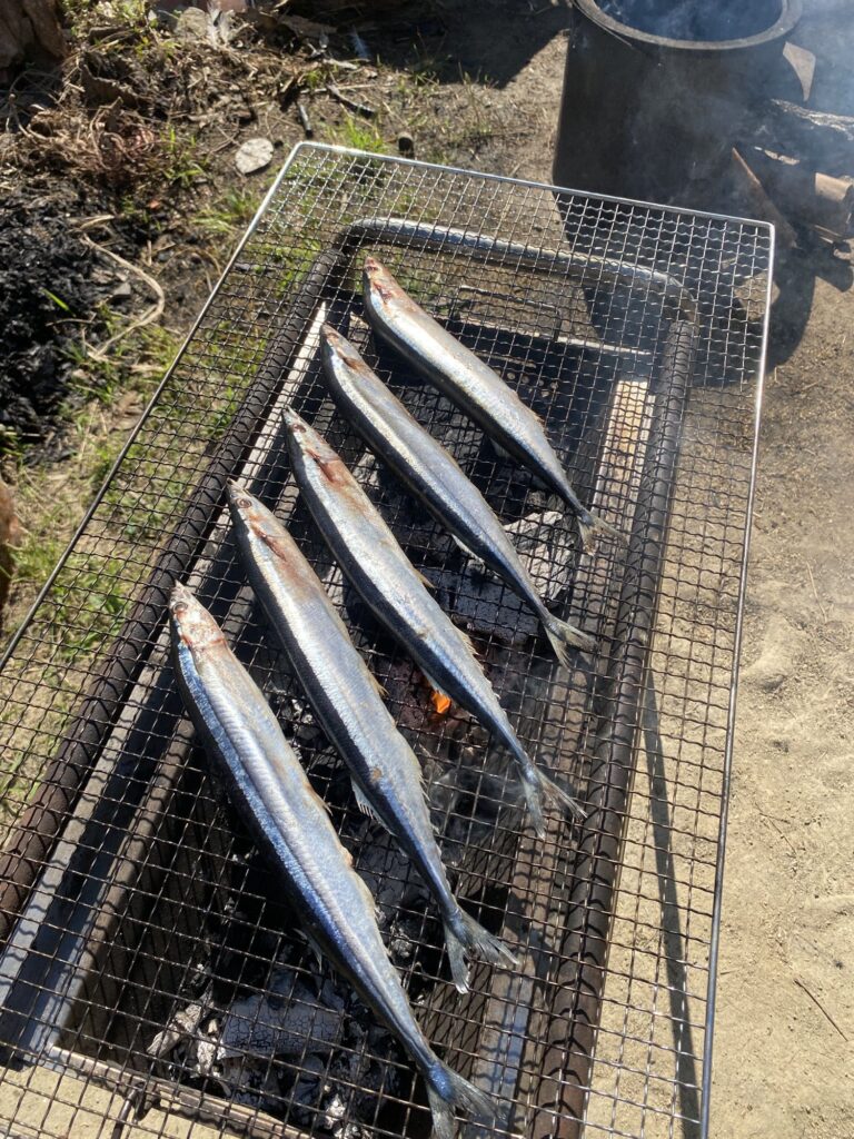 炭火の網の上で焼かれるさんま