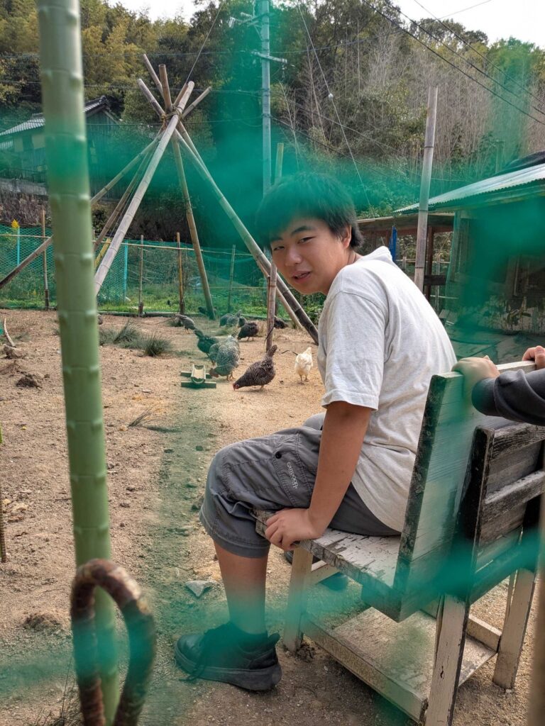 鶏を追いかけたあと、鶏小屋のいすでひと休みする子ども