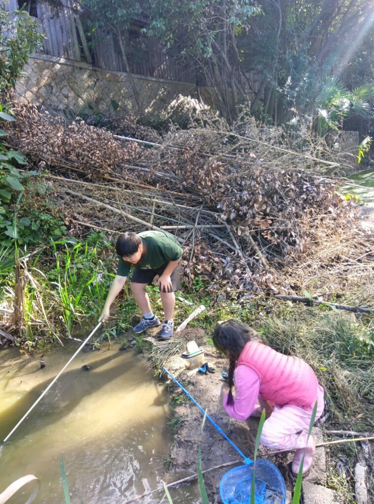 庭の池で網を使って遊ぶ子どもたち